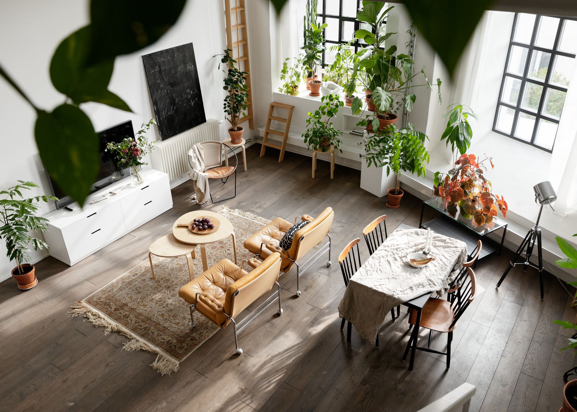Loft con piante 19