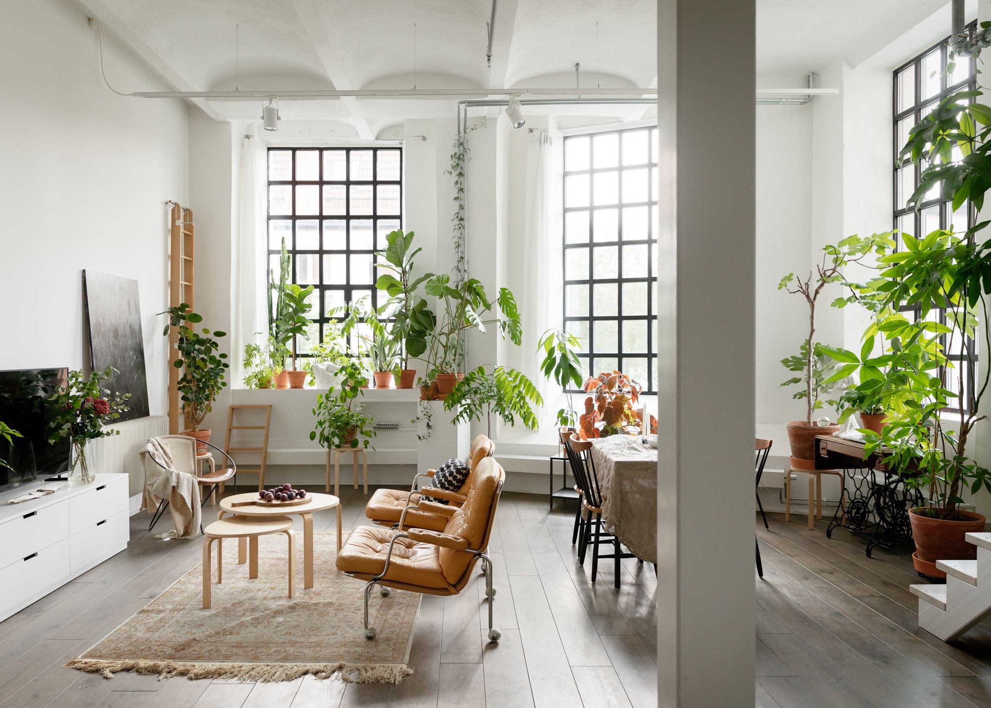 Loft con piante 3