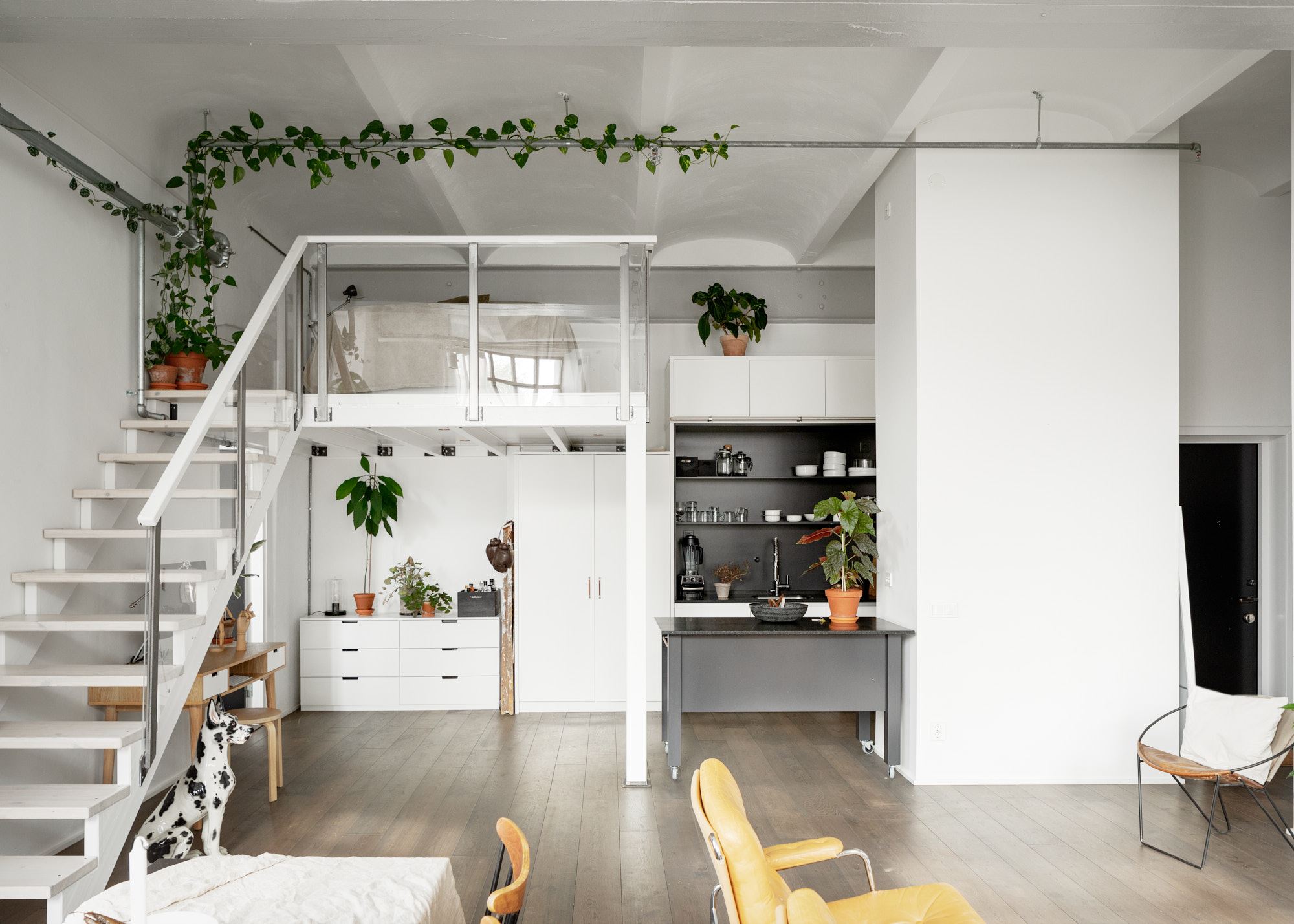 Loft con piante 4
