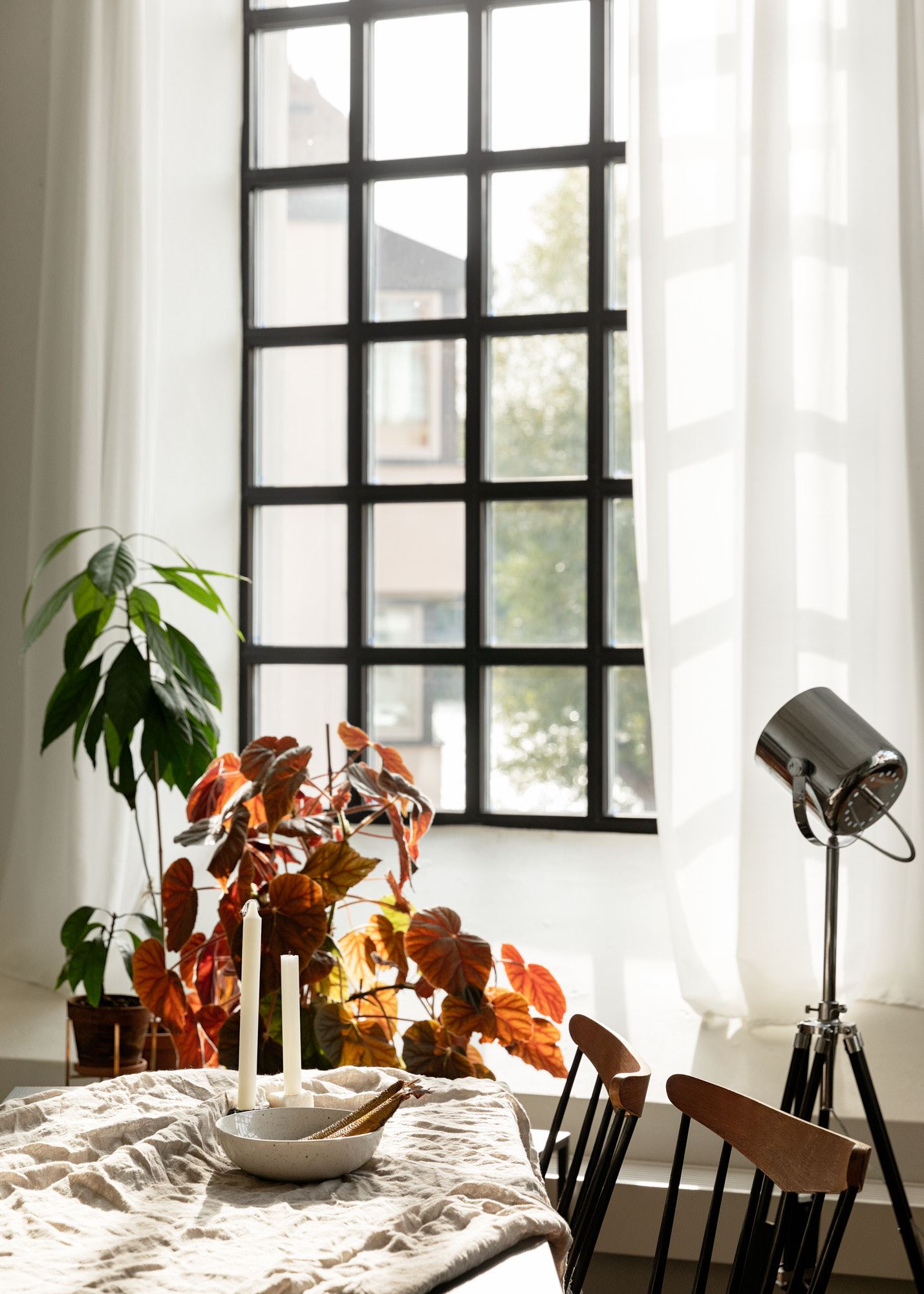 Loft con piante 9