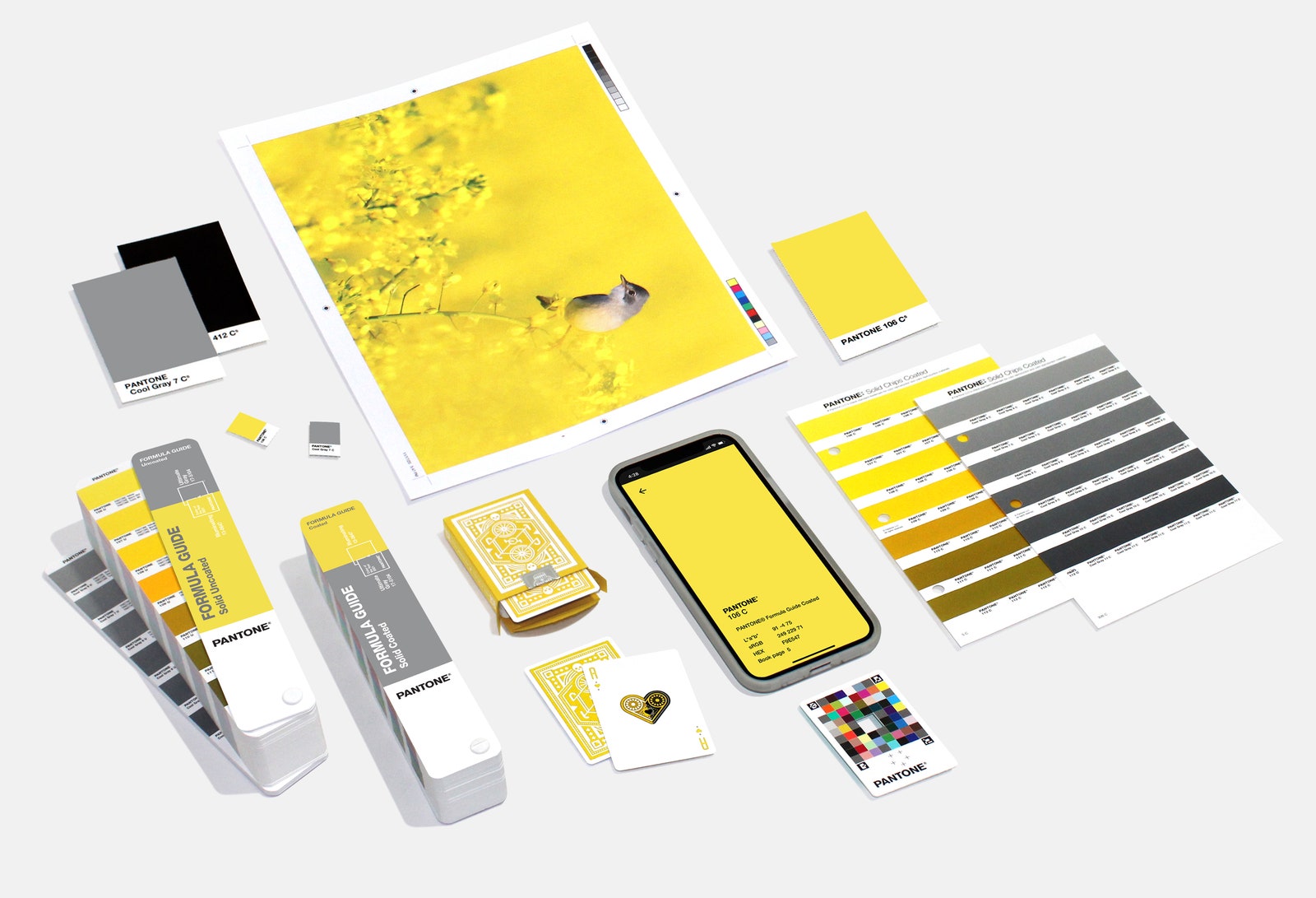 pantone21_4