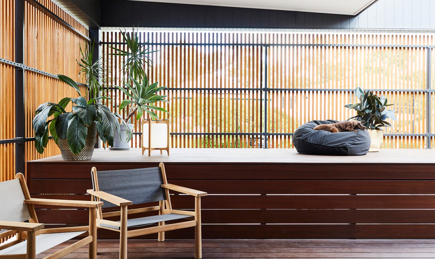 Coorparoo house 2