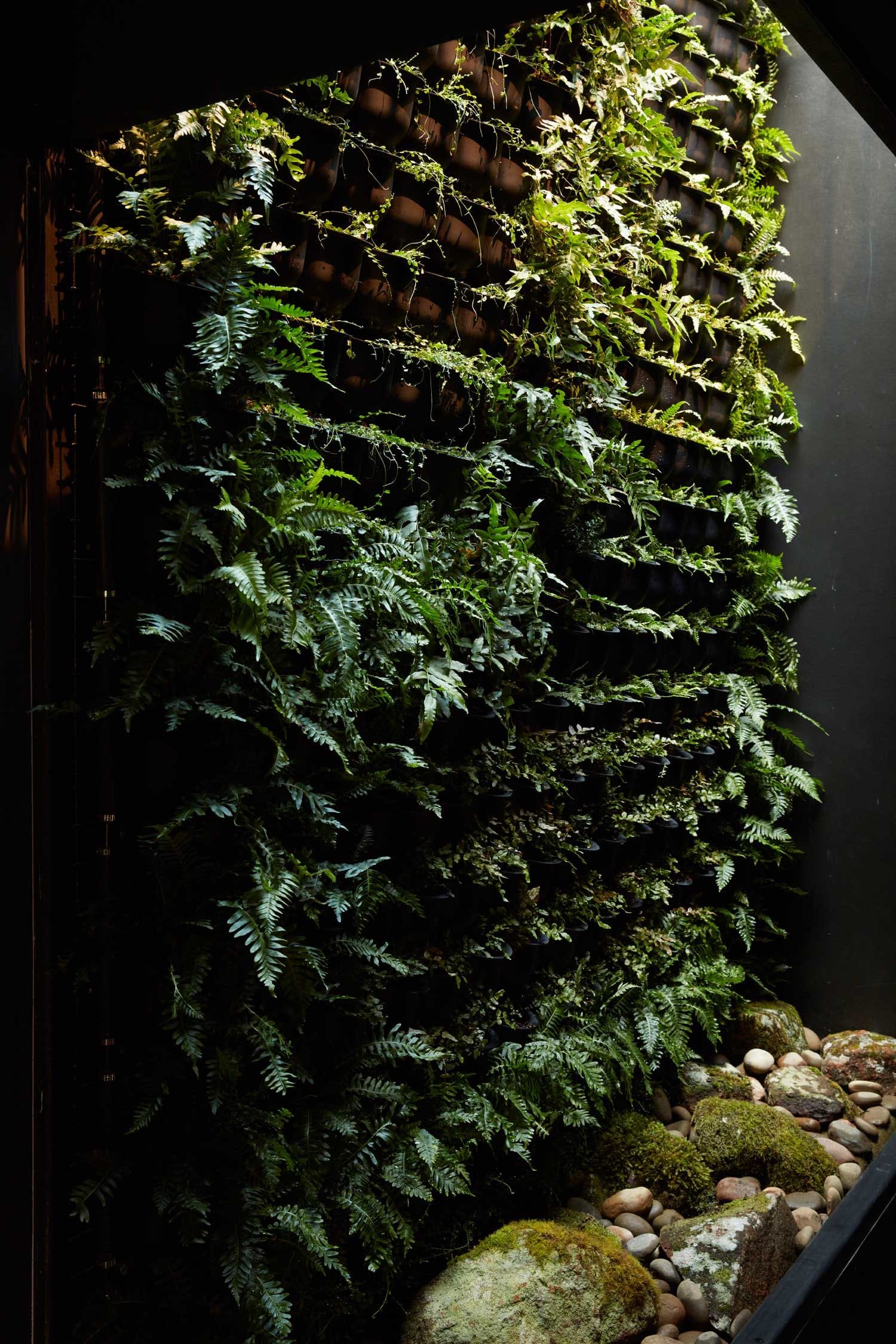 moss 8