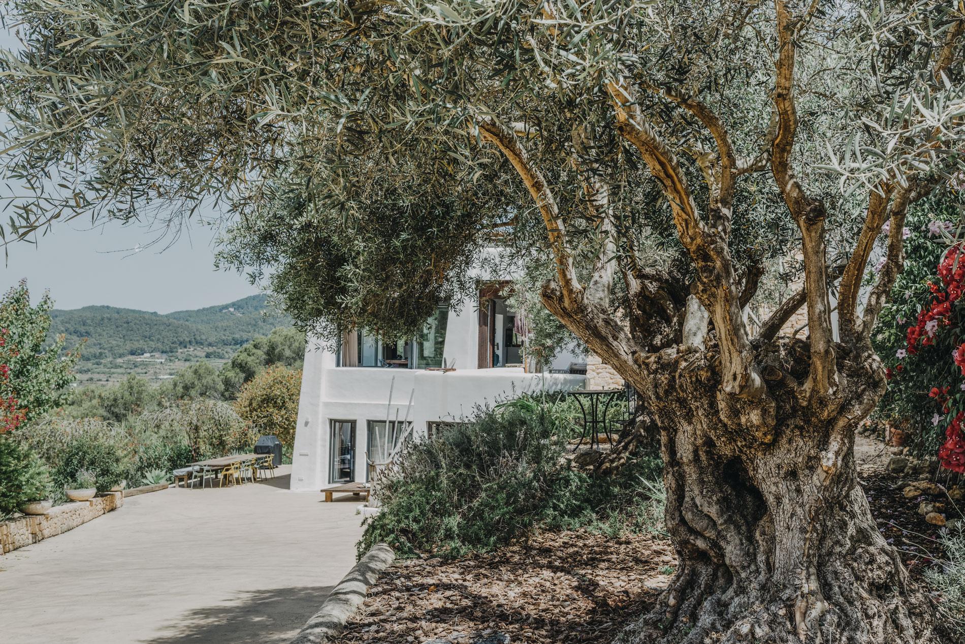 Gioiosa e colorata a Ibiza 11