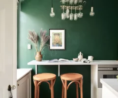 Un piccolo appartamento con una cucina con una parete tutta verde