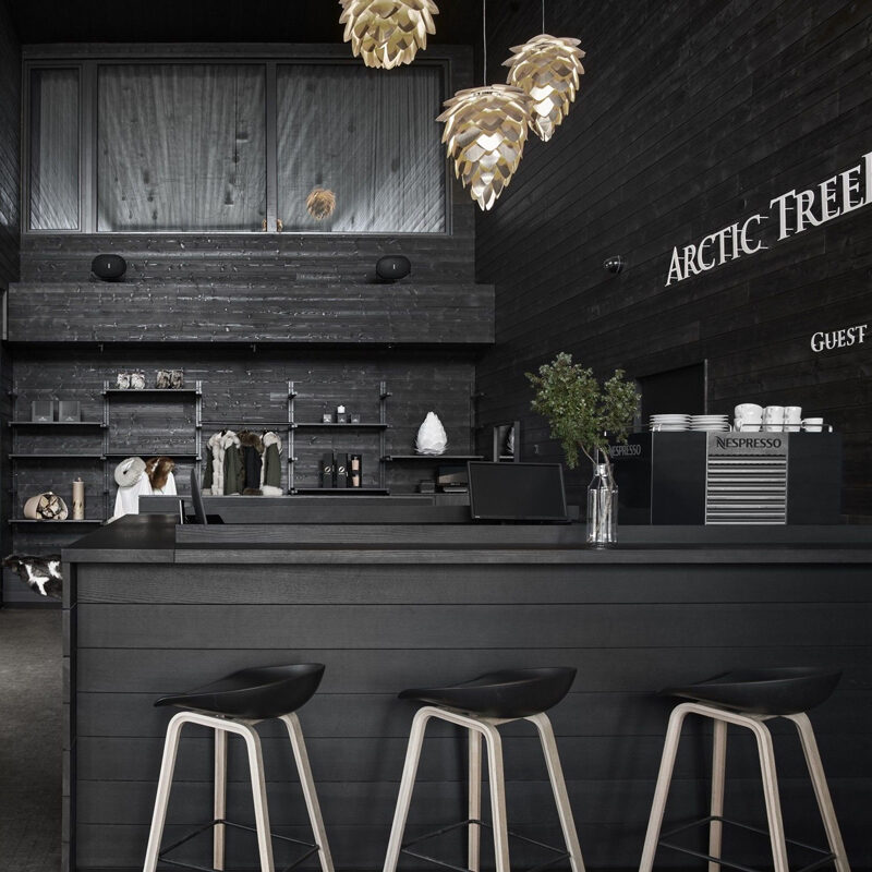 Artic tree House 12
