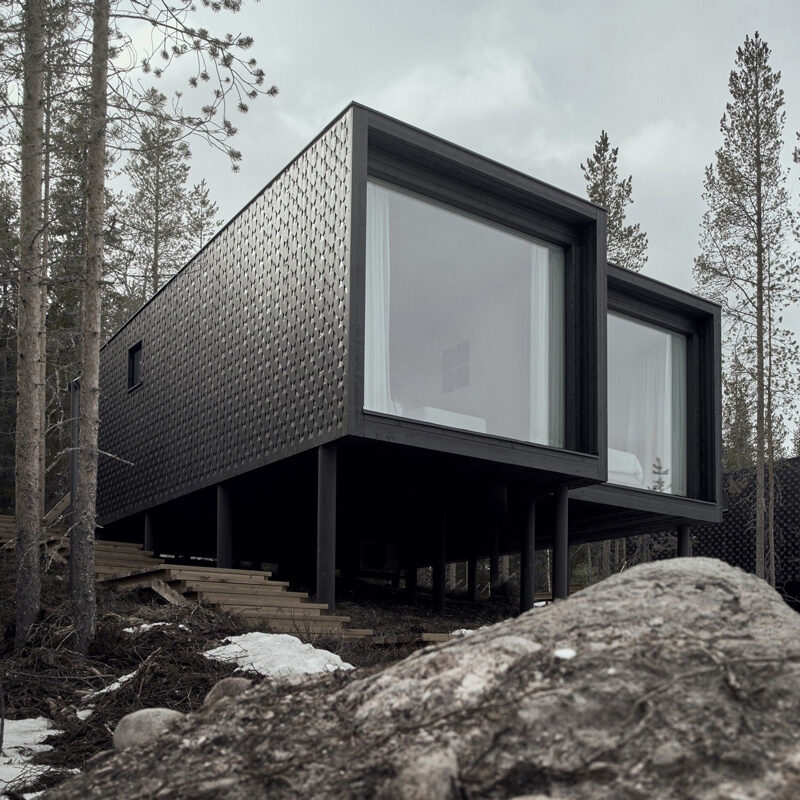 Artic tree House 2