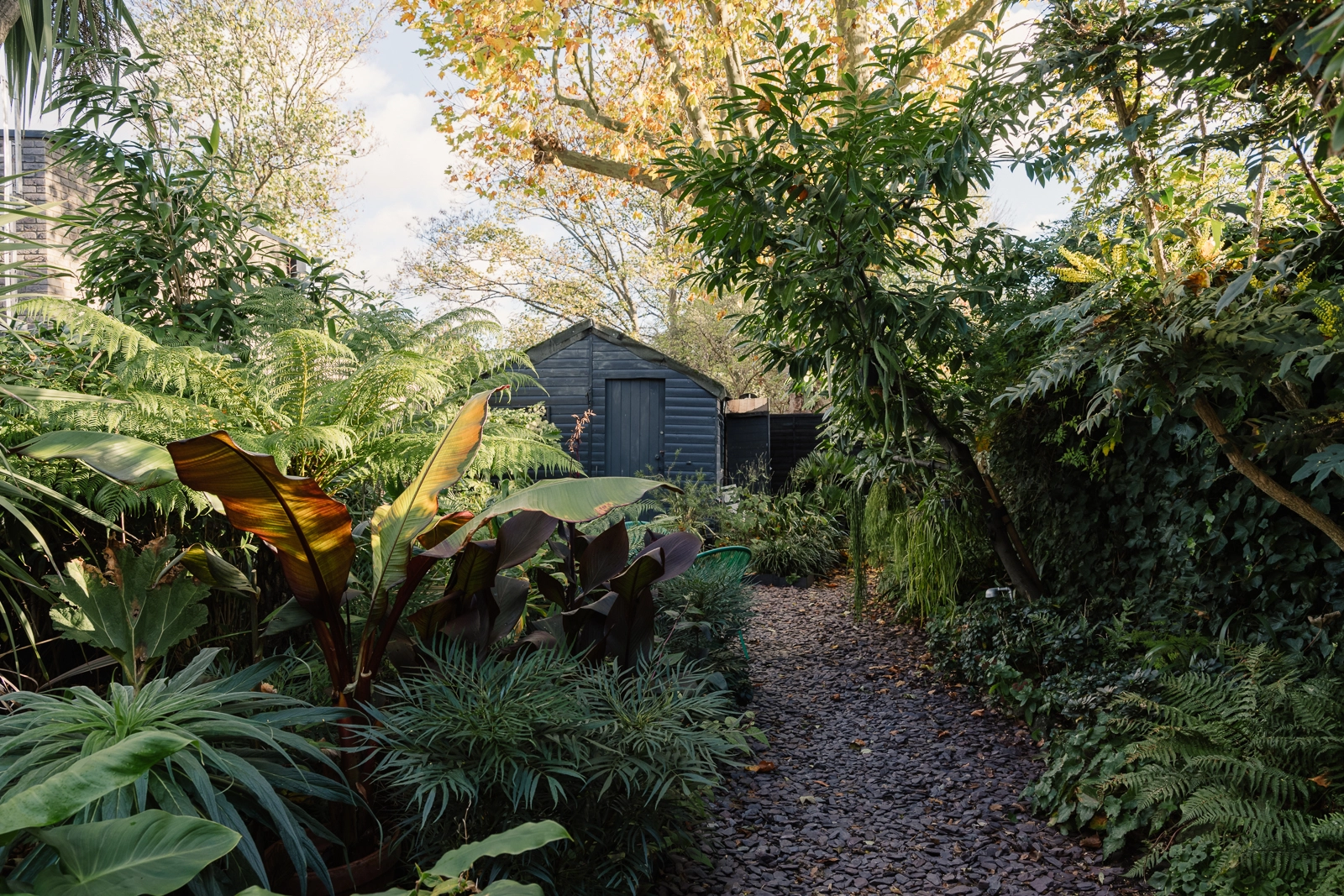 casa con giardino 10.jpg