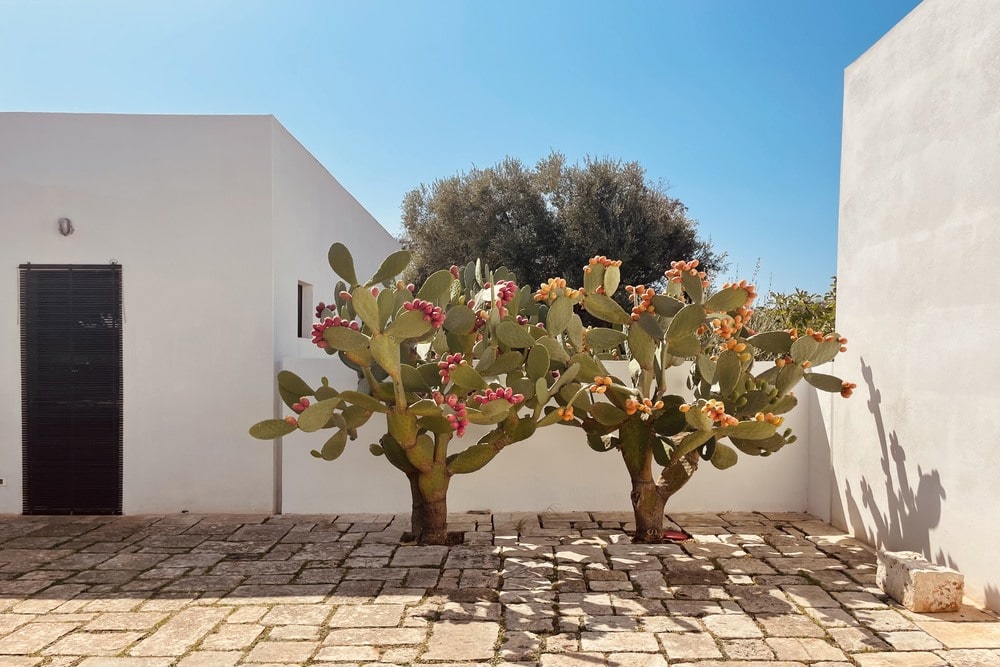 Maison Cinque Puglia 16
