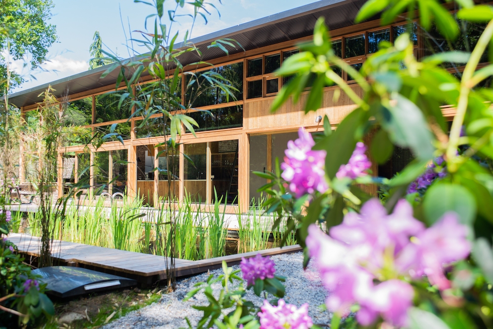 Casa Olandese 15