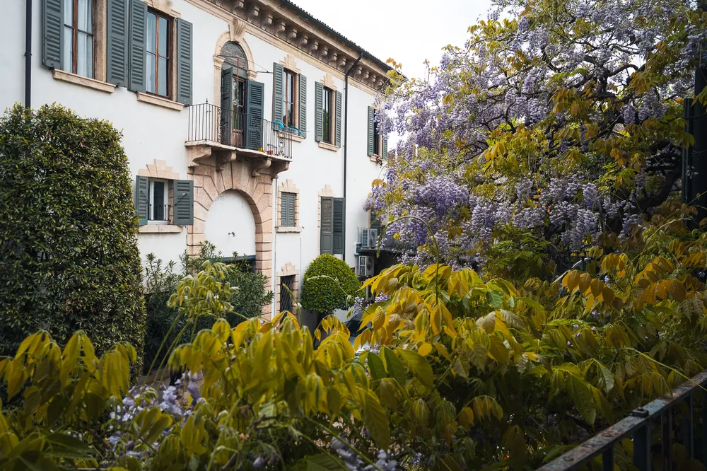Palazzo Fracastoro 4