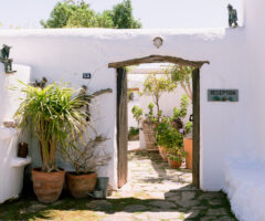 Casa Marisca, il rifugio a Ibiza che fa venire voglia di prolungare l’estate