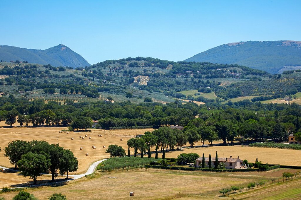 Gens Flavia, Spllo, panorama
